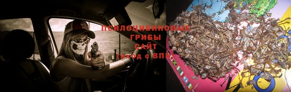 скорость mdpv Вяземский