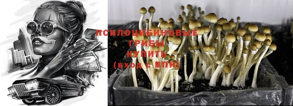 кокаин колумбия Вязьма